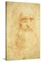 Self-Portrait-Leonardo da Vinci-Stretched Canvas