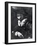 Self-Portrait-Caravaggio-Framed Giclee Print