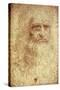 Self-Portrait-Leonardo da Vinci-Stretched Canvas