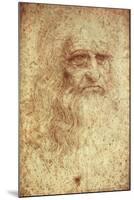 Self-Portrait-Leonardo da Vinci-Mounted Art Print