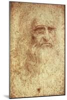 Self-Portrait-Leonardo da Vinci-Mounted Art Print