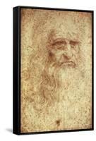 Self-Portrait-Leonardo da Vinci-Framed Stretched Canvas