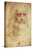 Self-Portrait-Leonardo da Vinci-Stretched Canvas