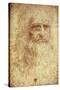 Self-Portrait-Leonardo da Vinci-Stretched Canvas