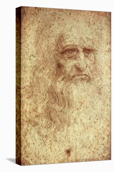 Self-Portrait-Leonardo da Vinci-Stretched Canvas