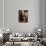 Self Portrait-Emile Bernard-Mounted Giclee Print displayed on a wall