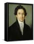 Self-Portrait-Giovanni Battista Borghesi-Framed Stretched Canvas