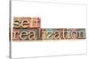 Self-Realization Word-PixelsAway-Stretched Canvas