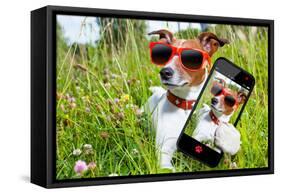 Selfie Dog in Meadow-Javier Brosch-Framed Stretched Canvas