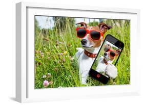 Selfie Dog in Meadow-Javier Brosch-Framed Photographic Print