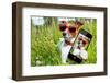 Selfie Dog in Meadow-Javier Brosch-Framed Photographic Print