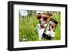 Selfie Dog in Meadow-Javier Brosch-Framed Photographic Print