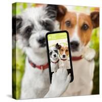 Selfie Dogs-Javier Brosch-Stretched Canvas