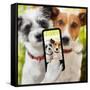 Selfie Dogs-Javier Brosch-Framed Stretched Canvas