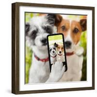 Selfie Dogs-Javier Brosch-Framed Photographic Print