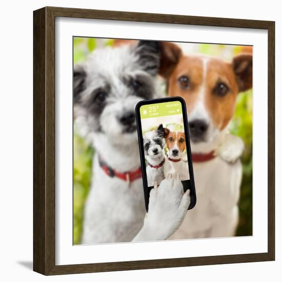 Selfie Dogs-Javier Brosch-Framed Photographic Print