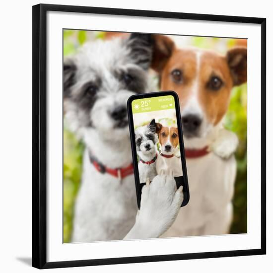 Selfie Dogs-Javier Brosch-Framed Photographic Print