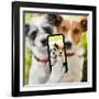 Selfie Dogs-Javier Brosch-Framed Photographic Print