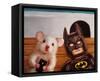 Selfie with Batman-Lucia Heffernan-Framed Stretched Canvas