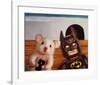 Selfie with Batman-Lucia Heffernan-Framed Art Print