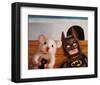 Selfie with Batman-Lucia Heffernan-Framed Art Print