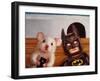 Selfie with Batman-Lucia Heffernan-Framed Art Print