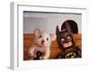 Selfie with Batman-Lucia Heffernan-Framed Art Print