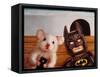 Selfie with Batman-Lucia Heffernan-Framed Stretched Canvas