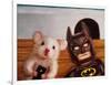 Selfie with Batman-Lucia Heffernan-Framed Art Print