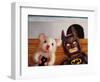 Selfie with Batman-Lucia Heffernan-Framed Art Print