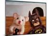 Selfie with Batman-Lucia Heffernan-Mounted Art Print