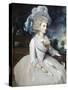 Selina, Lady Skipwith-Sir Joshua Reynolds-Stretched Canvas