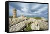 Selinunte, Trapani District, Sicily, Italy, Mediterranean, Europe-Bruno Morandi-Framed Stretched Canvas