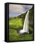 Seljalandfoss Waterfall, South Coast, Iceland-Michele Falzone-Framed Stretched Canvas