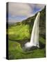 Seljalandfoss Waterfall, South Coast, Iceland-Michele Falzone-Stretched Canvas