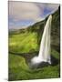Seljalandfoss Waterfall, South Coast, Iceland-Michele Falzone-Mounted Photographic Print