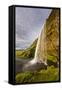 Seljalandsfoss Waterfall, Iceland-Arctic-Images-Framed Stretched Canvas