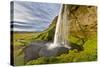 Seljalandsfoss Waterfall, Iceland-Arctic-Images-Stretched Canvas