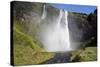 Seljalandsfoss Waterfall, South Iceland, Iceland, Polar Regions-Ethel Davies-Stretched Canvas