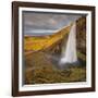 Seljalandsfoss (Waterfalls), South Iceland, Iceland-Rainer Mirau-Framed Photographic Print