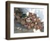 Seljuk, Anatolia, Turkey-R H Productions-Framed Photographic Print