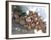 Seljuk, Anatolia, Turkey-R H Productions-Framed Photographic Print