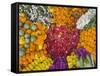 Selling Flowers for Diwali, Festival of Lights, Varanasi, India-Keren Su-Framed Stretched Canvas