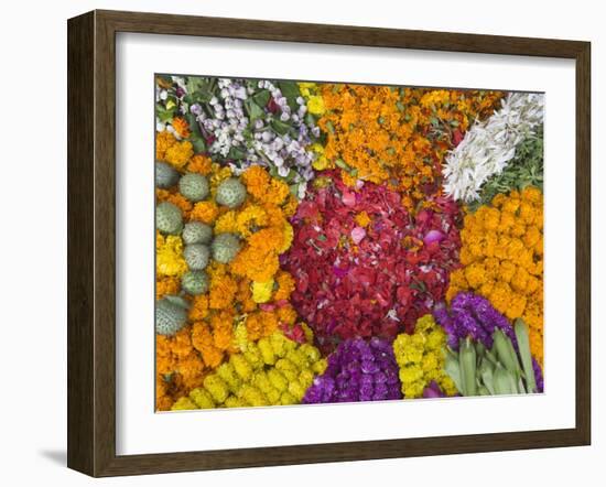 Selling Flowers for Diwali, Festival of Lights, Varanasi, India-Keren Su-Framed Premium Photographic Print