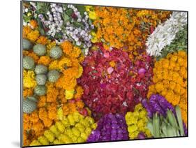 Selling Flowers for Diwali, Festival of Lights, Varanasi, India-Keren Su-Mounted Premium Photographic Print