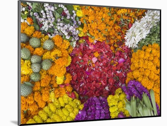 Selling Flowers for Diwali, Festival of Lights, Varanasi, India-Keren Su-Mounted Photographic Print