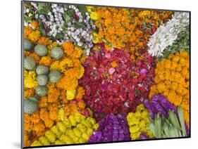 Selling Flowers for Diwali, Festival of Lights, Varanasi, India-Keren Su-Mounted Photographic Print