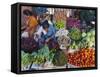 Selling Fruit in Local Market, Goa, India-Keren Su-Framed Stretched Canvas