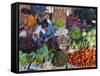 Selling Fruit in Local Market, Goa, India-Keren Su-Framed Stretched Canvas