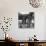 Selling Ice-Cream, Arc de Triomphe, Paris, c1950-Paul Almasy-Giclee Print displayed on a wall